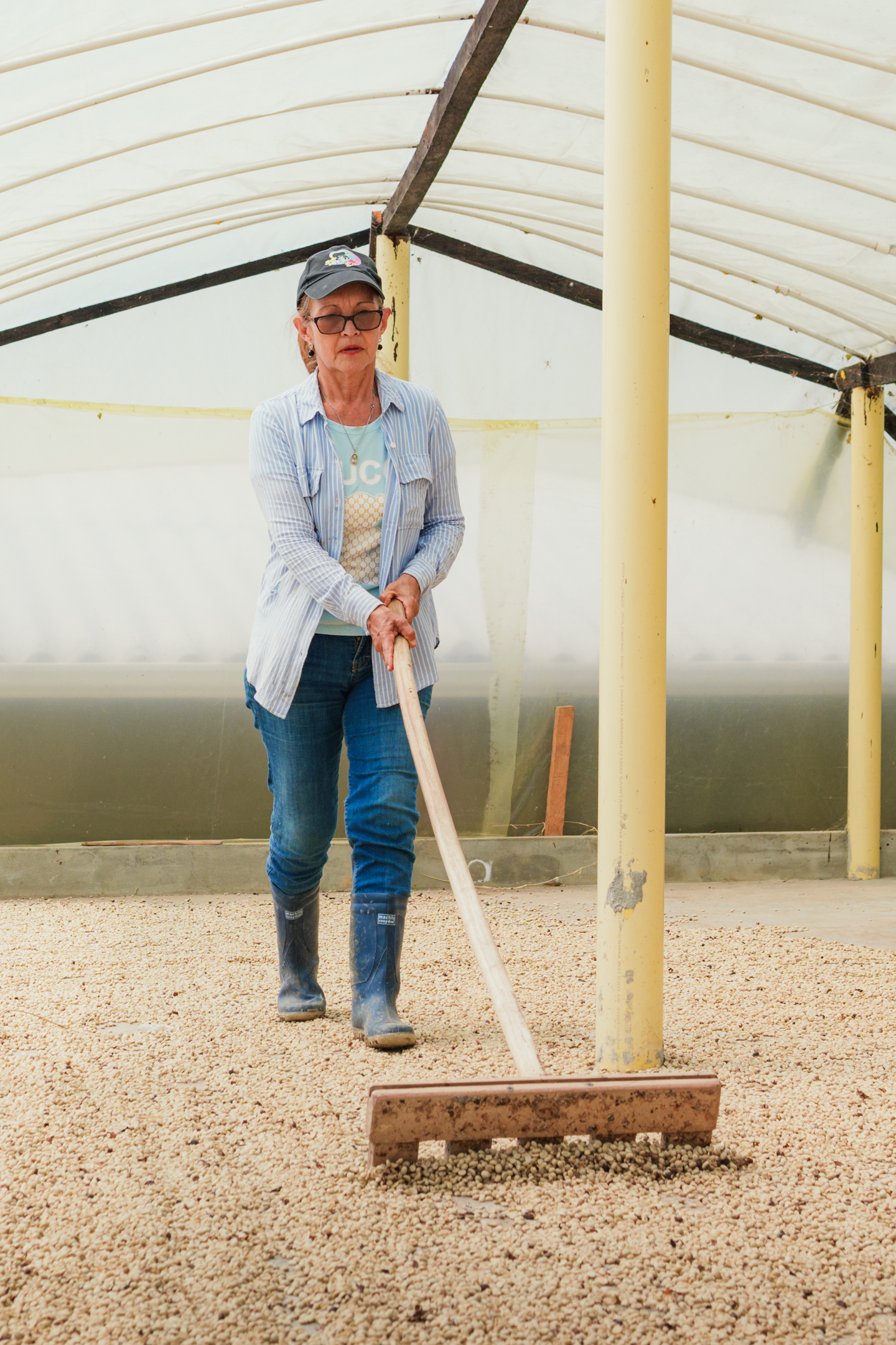 Coffee farmer at El Mirador farm in Charta, Santander